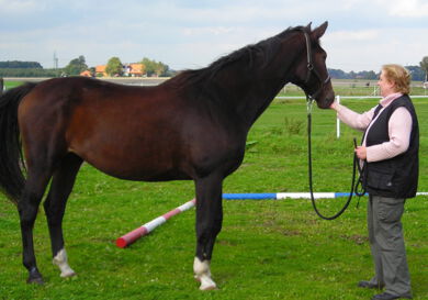Birgitt Sulzer mit Pferd