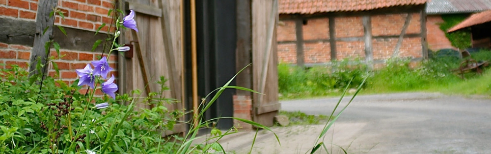 Dekoratives Bild